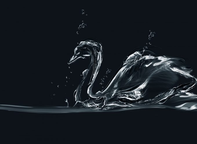 Wallpaper Swan, drops, art, Animals 384093918